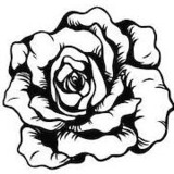 Flower 2
