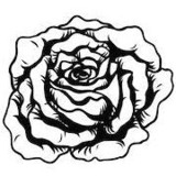 Flower 3