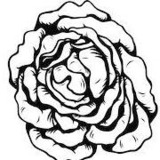 Flower 4